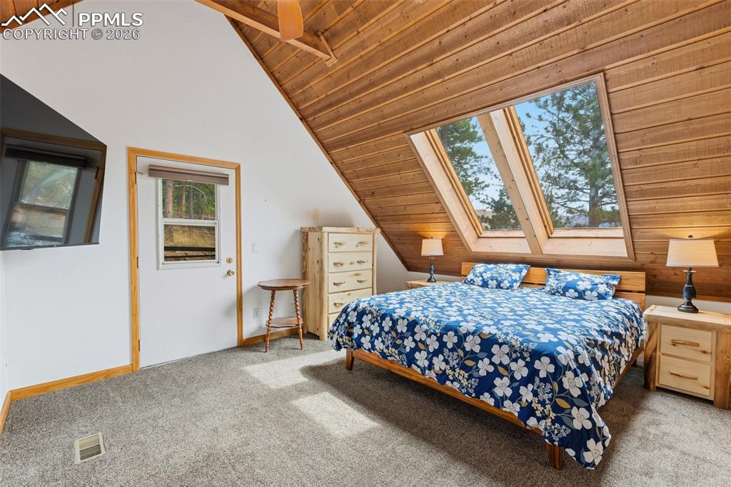 200 Sun Ridge Court Woodland Park CO 80863