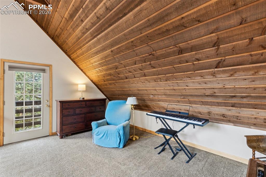 200 Sun Ridge Court Woodland Park CO 80863