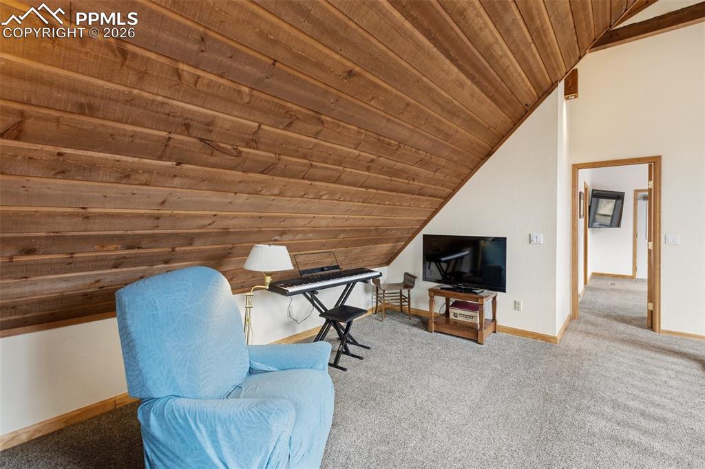 200 Sun Ridge Court Woodland Park CO 80863