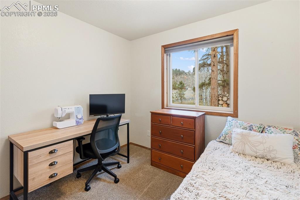 200 Sun Ridge Court Woodland Park CO 80863