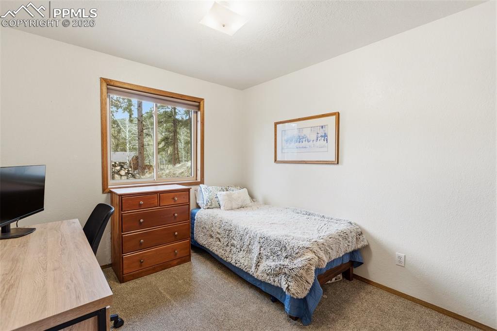 200 Sun Ridge Court Woodland Park CO 80863