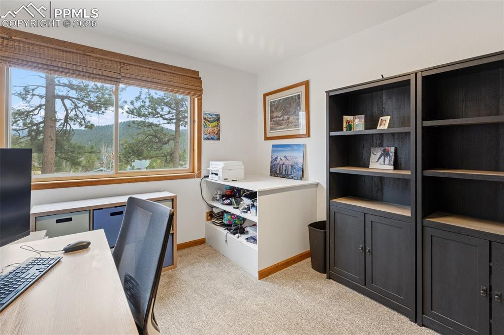 200 Sun Ridge Court Woodland Park CO 80863
