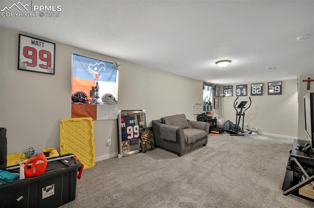 1033 Mount Werner Circle Colorado Springs CO 80905