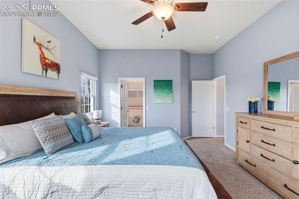 8441 Old Exchange Drive Colorado Springs CO 80920