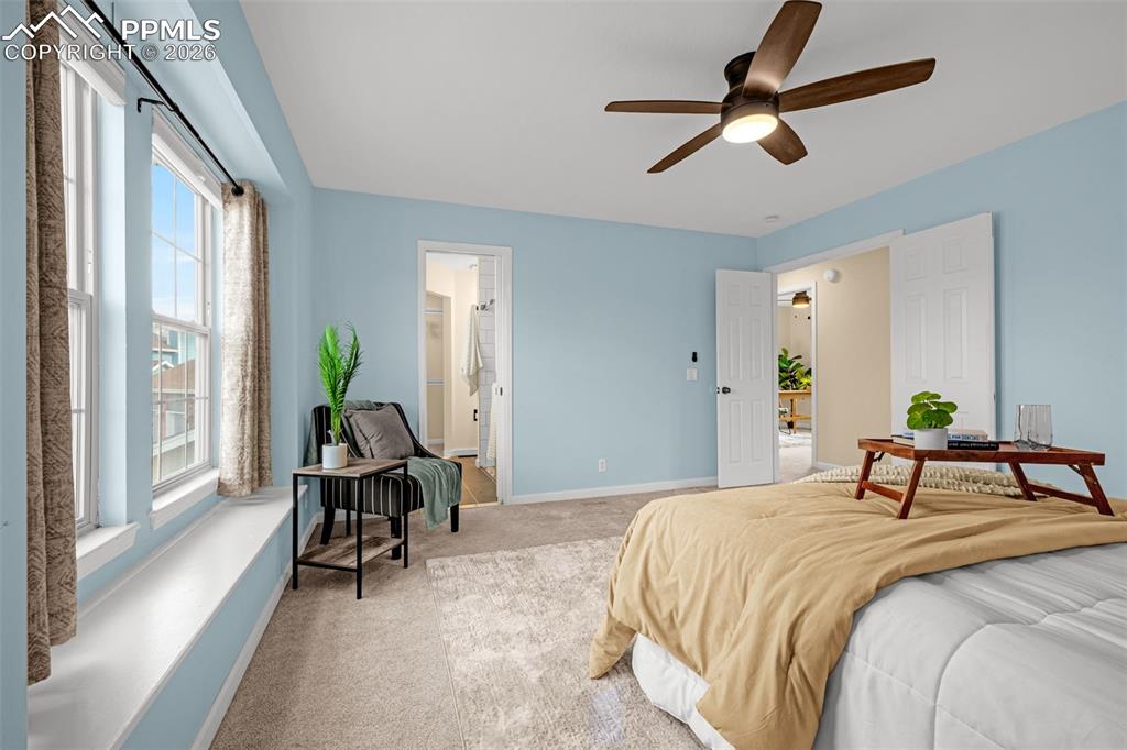 8735 Turnbridge Place Colorado Springs CO 80920