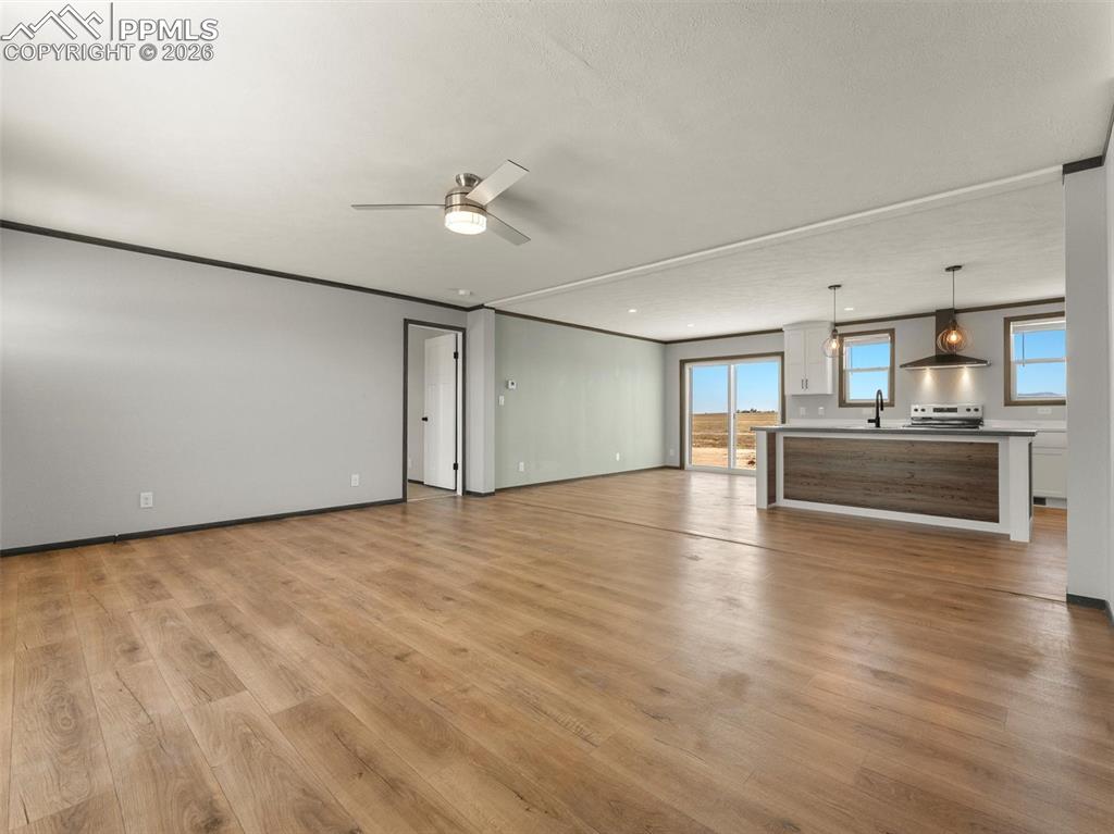 17755 County Road 2 Rush CO 80833