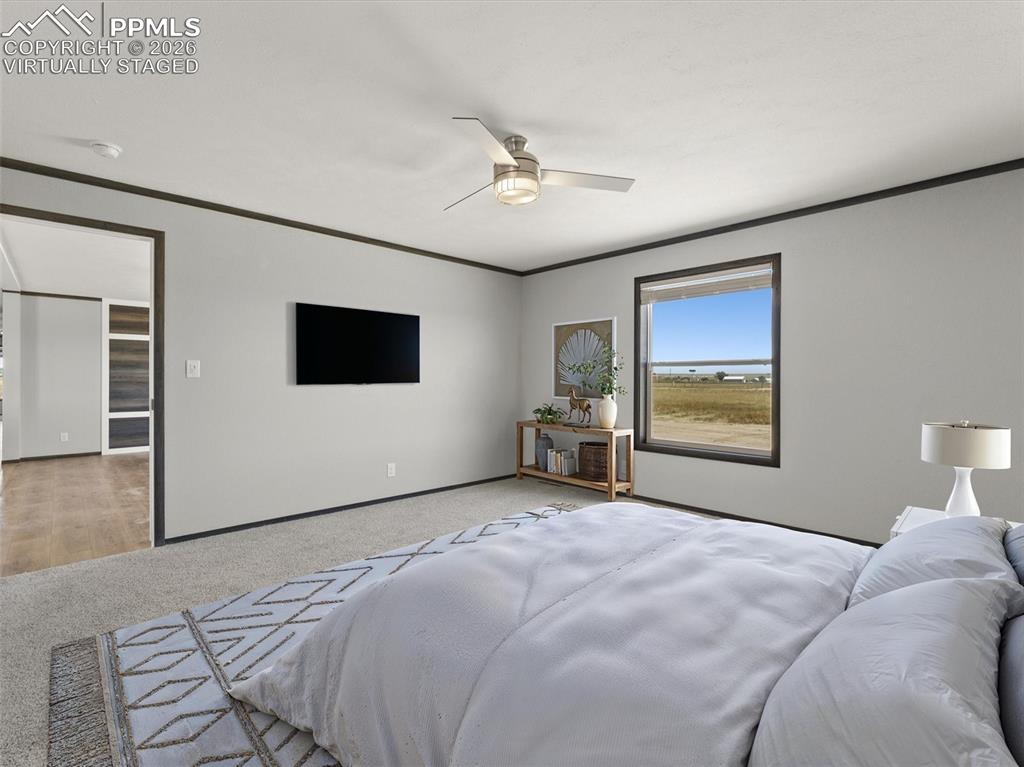 17755 County Road 2 Rush CO 80833