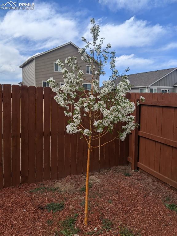 12742 Winding Glen Lane Peyton CO 80831