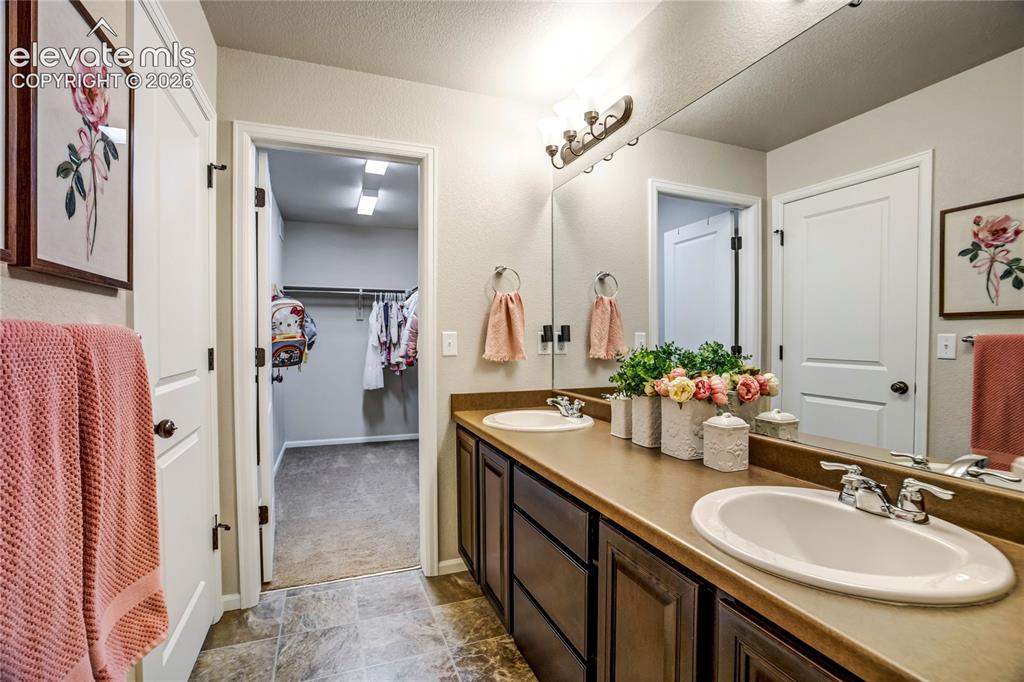 7523 Mountain Spruce Drive Colorado Springs CO 80927