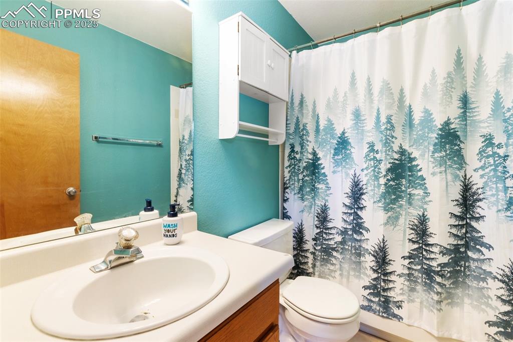 747 Pinon Ridge Drive Woodland Park CO 80863