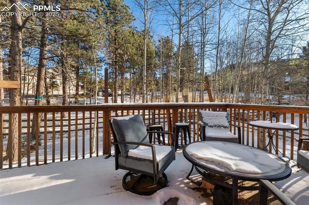 747 Pinon Ridge Drive Woodland Park CO 80863