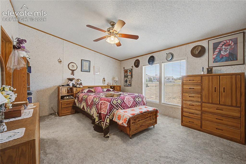 245 N Quail Court Rockvale CO 81244