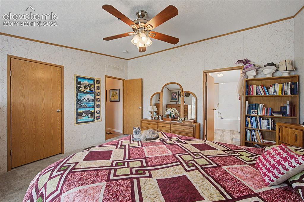 245 N Quail Court Rockvale CO 81244