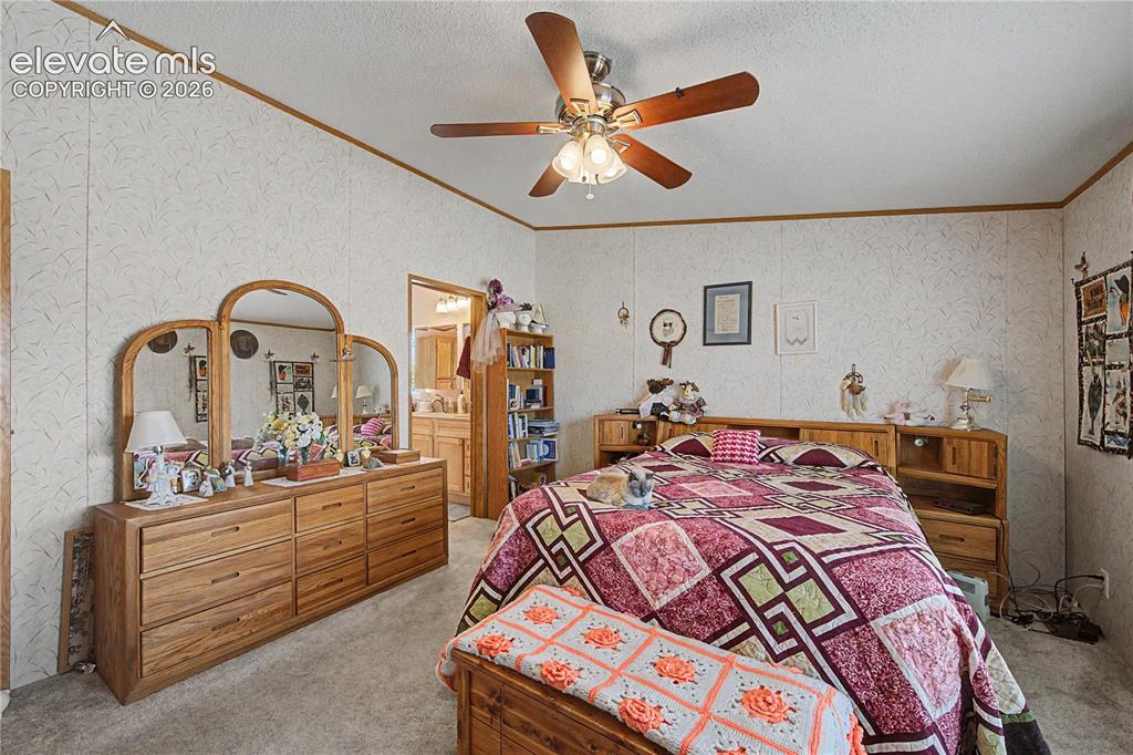 245 N Quail Court Rockvale CO 81244