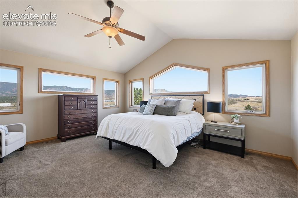715 Struthers Loop Colorado Springs CO 80921