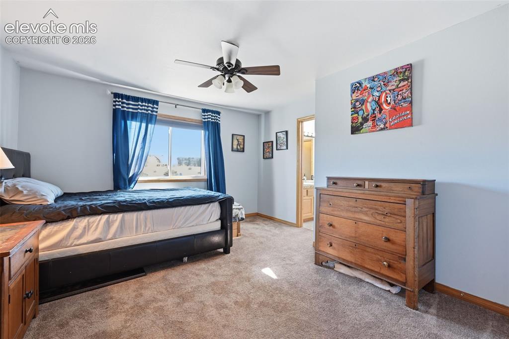 715 Struthers Loop Colorado Springs CO 80921