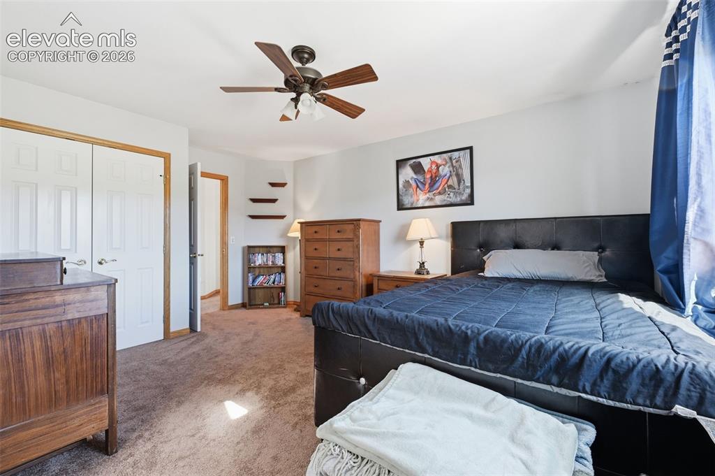 715 Struthers Loop Colorado Springs CO 80921