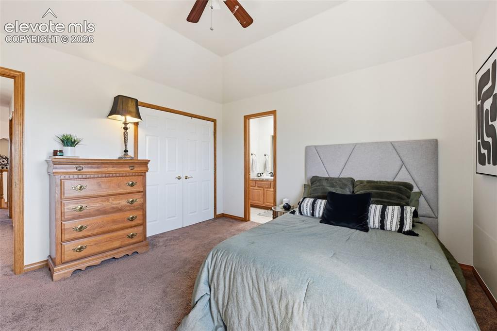 715 Struthers Loop Colorado Springs CO 80921