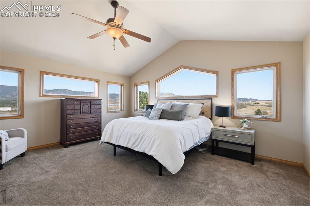715 Struthers Loop Colorado Springs CO 80921