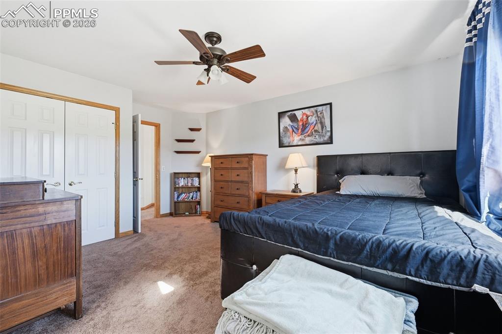 715 Struthers Loop Colorado Springs CO 80921