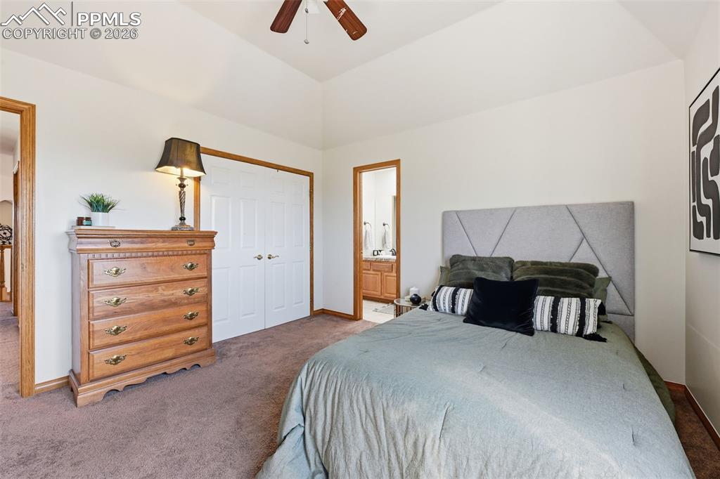 715 Struthers Loop Colorado Springs CO 80921