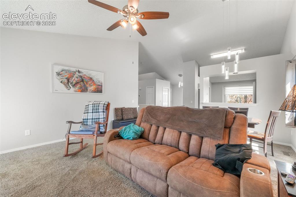 1643 S Canoe Creek Drive Colorado Springs CO 80906
