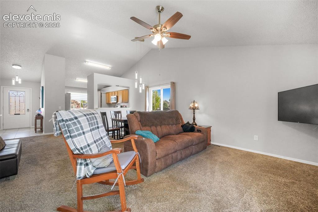 1643 S Canoe Creek Drive Colorado Springs CO 80906