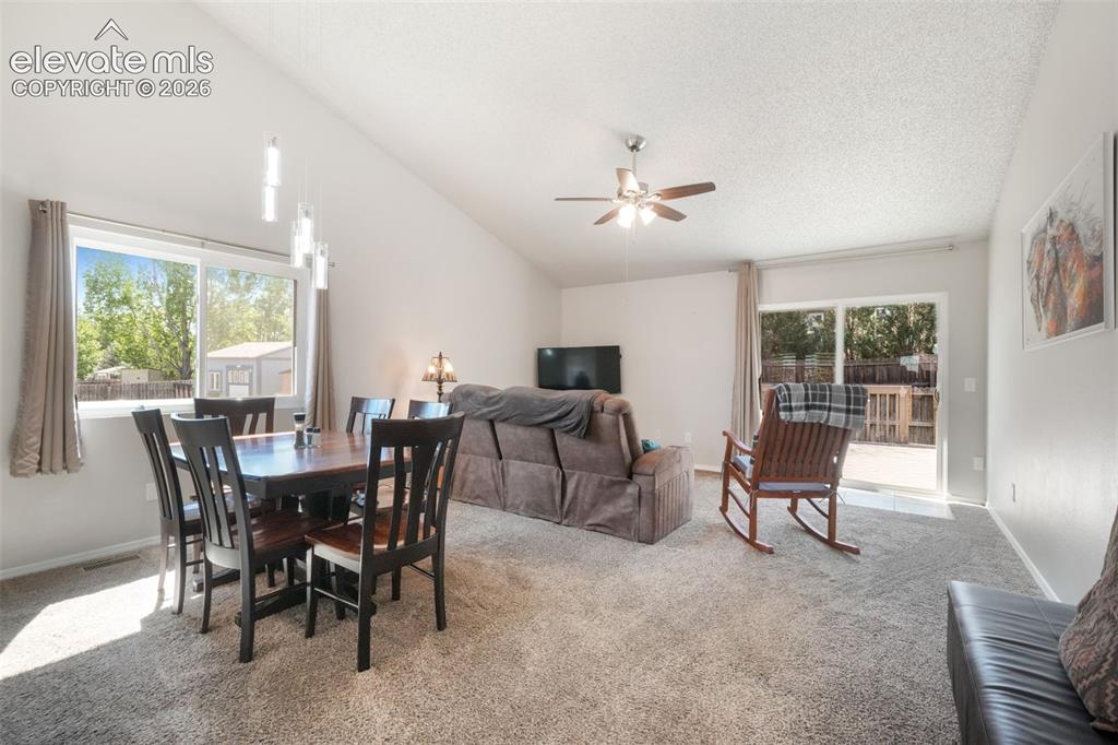 1643 S Canoe Creek Drive Colorado Springs CO 80906