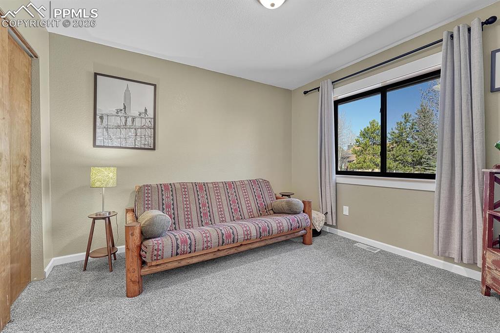 501 Taopi Circle Woodland Park CO 80863