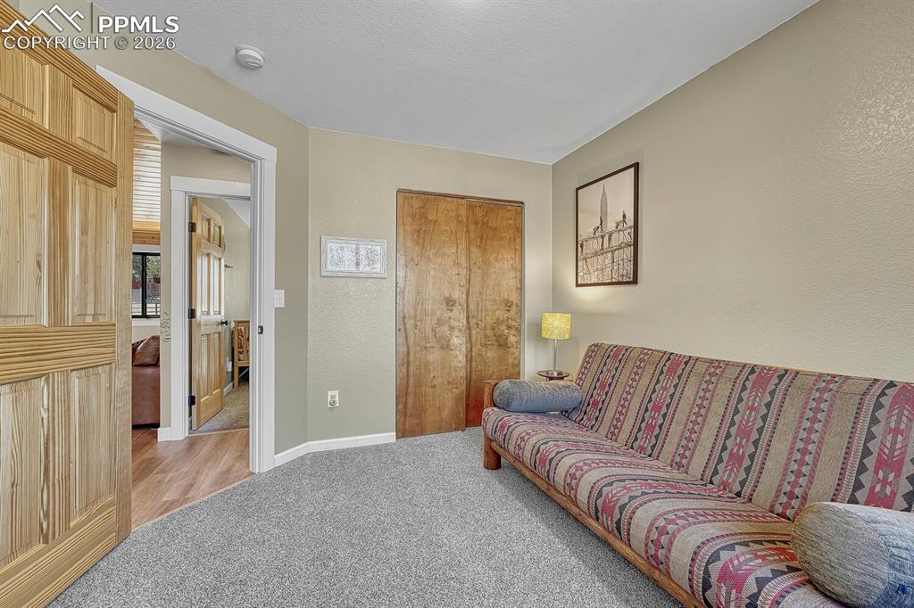 501 Taopi Circle Woodland Park CO 80863