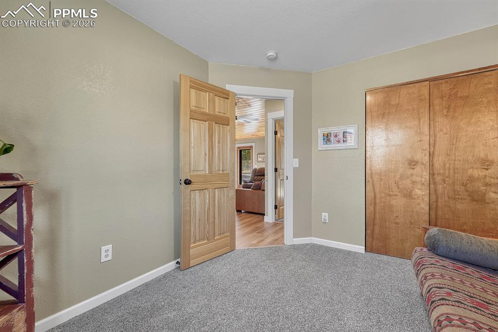 501 Taopi Circle Woodland Park CO 80863