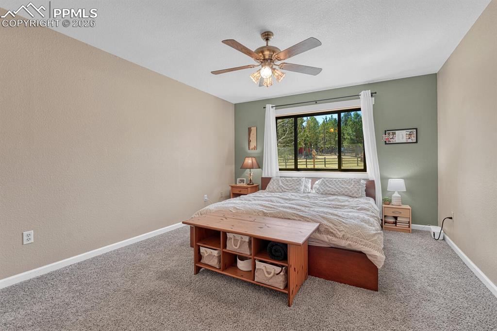 501 Taopi Circle Woodland Park CO 80863