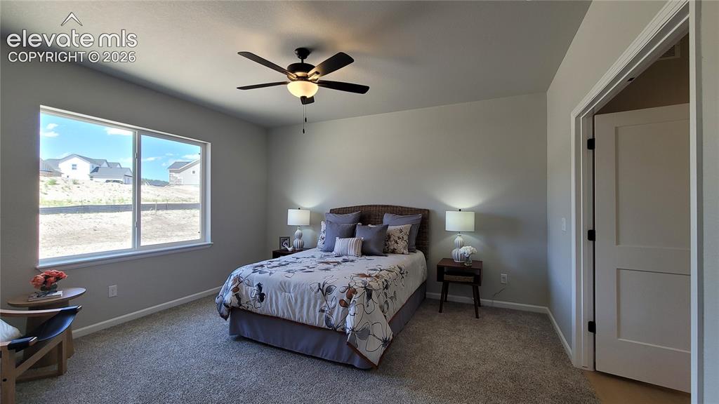6532 Miro Lane Colorado Springs CO 80924