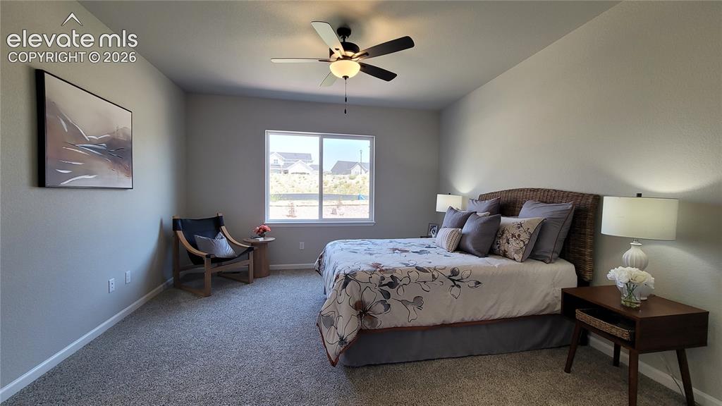 6532 Miro Lane Colorado Springs CO 80924