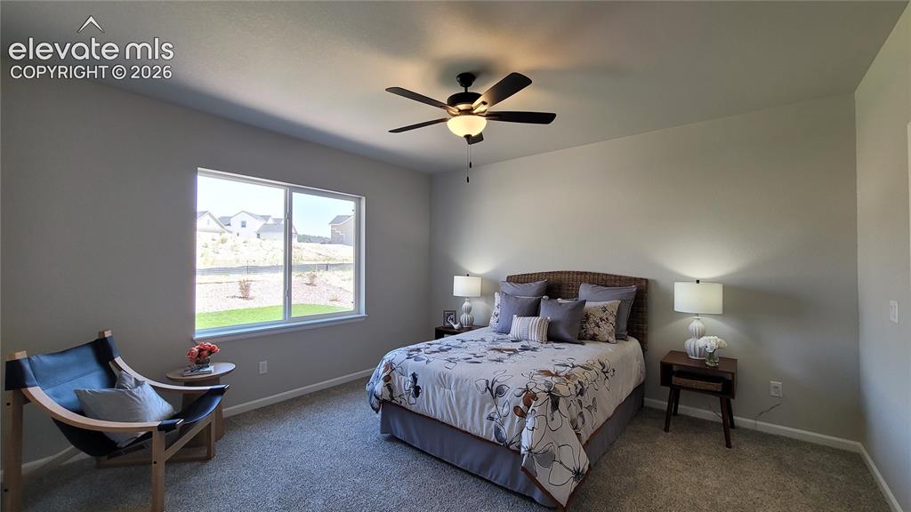 6532 Miro Lane Colorado Springs CO 80924