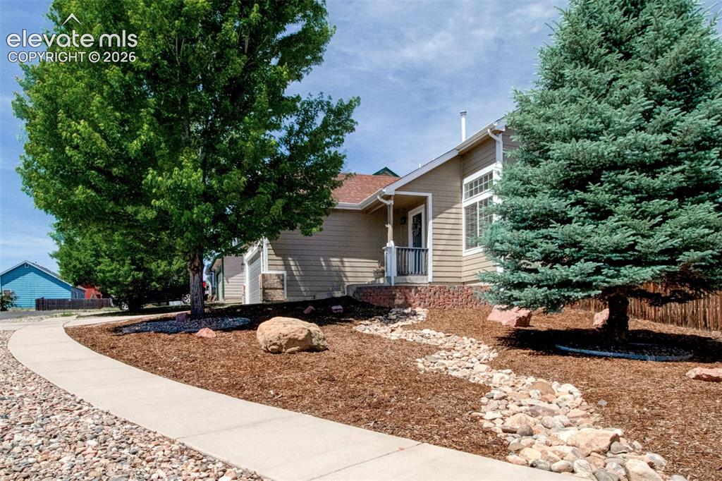 5024 Prairie Grass Lane Colorado Springs CO 80922