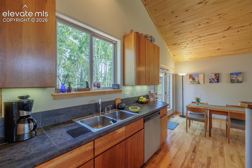 392 Aspen Village Road Divide CO 80814