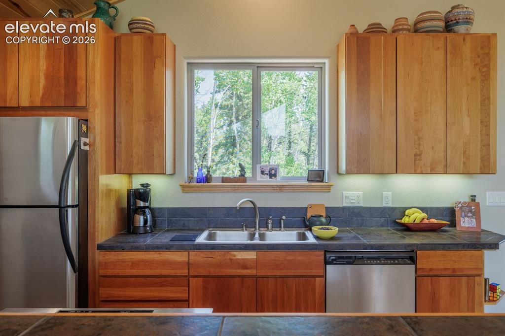 392 Aspen Village Road Divide CO 80814