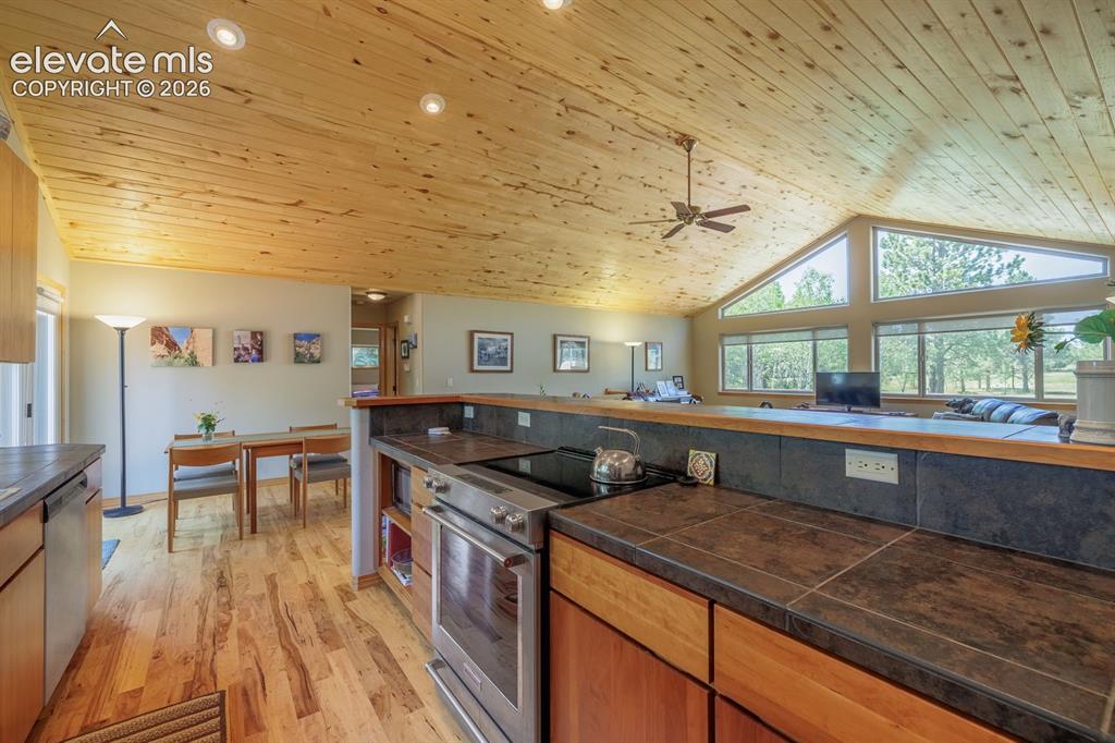 392 Aspen Village Road Divide CO 80814