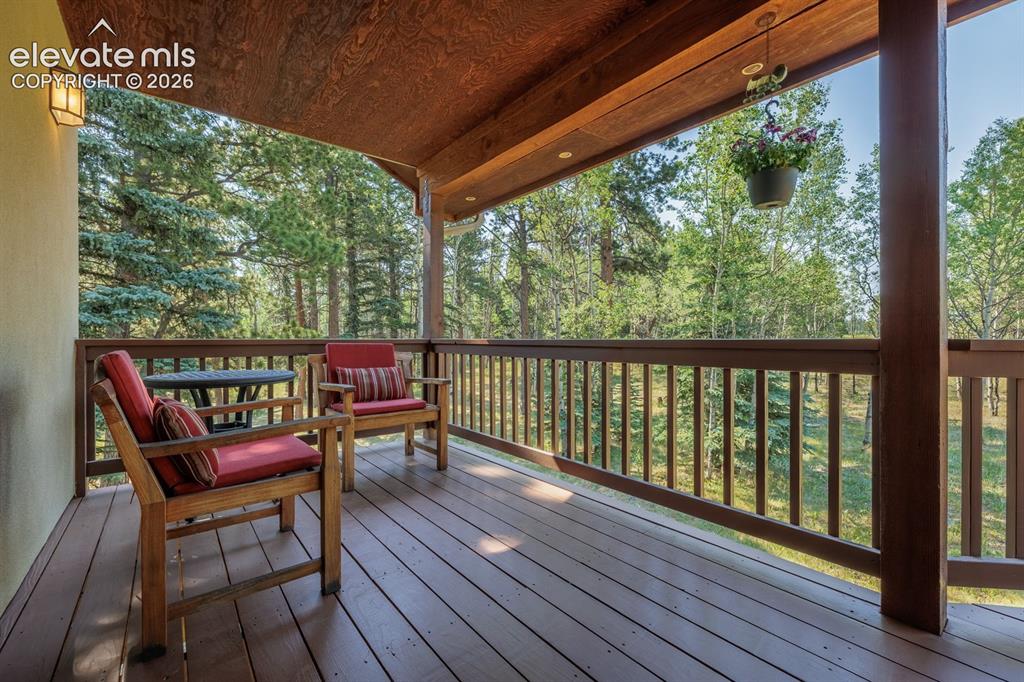 392 Aspen Village Road Divide CO 80814