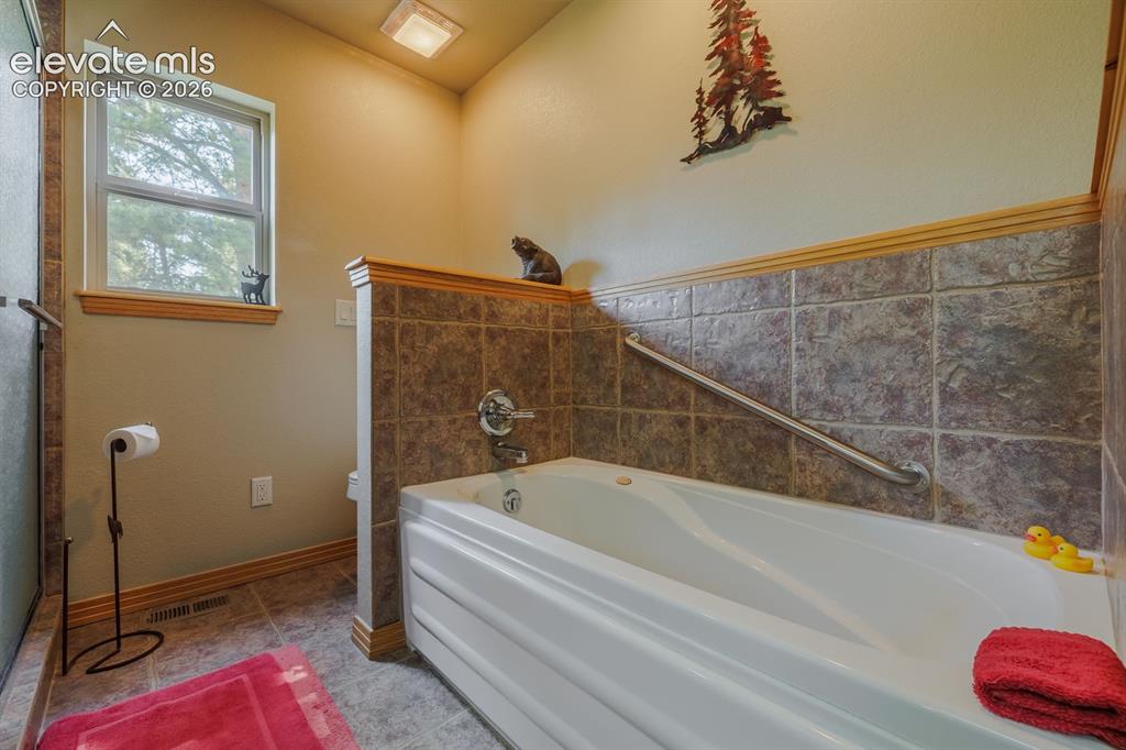392 Aspen Village Road Divide CO 80814