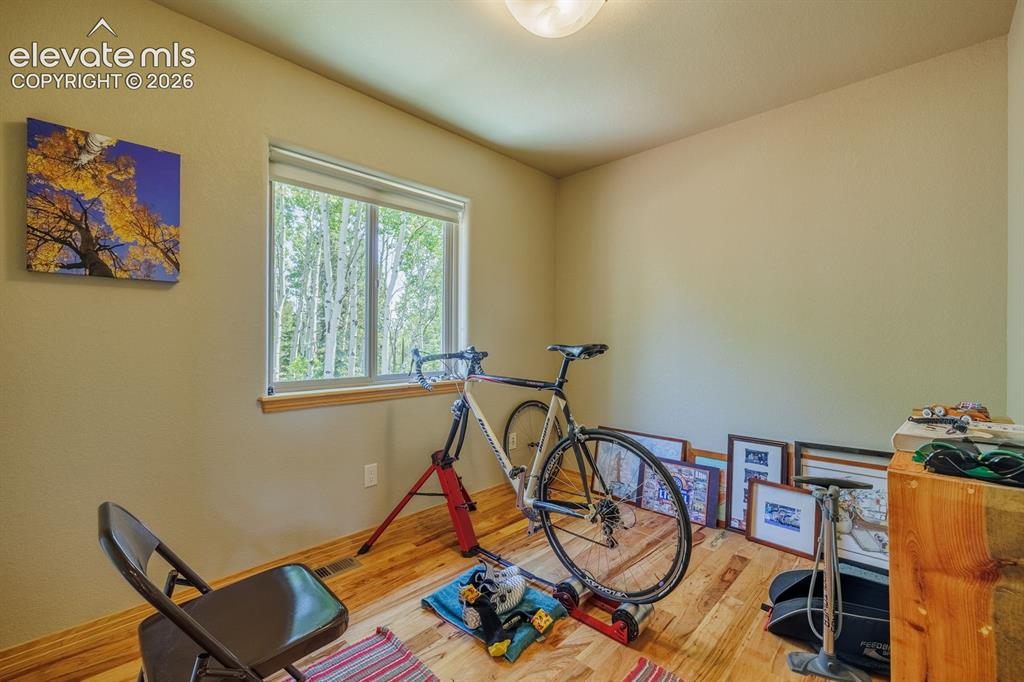 392 Aspen Village Road Divide CO 80814