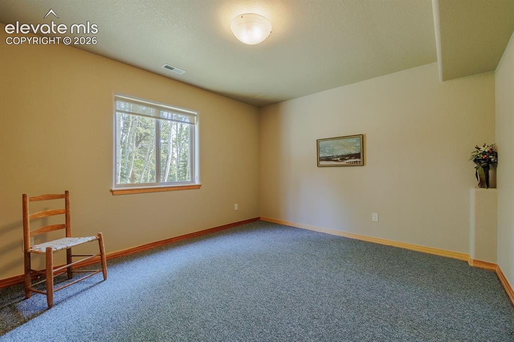 392 Aspen Village Road Divide CO 80814