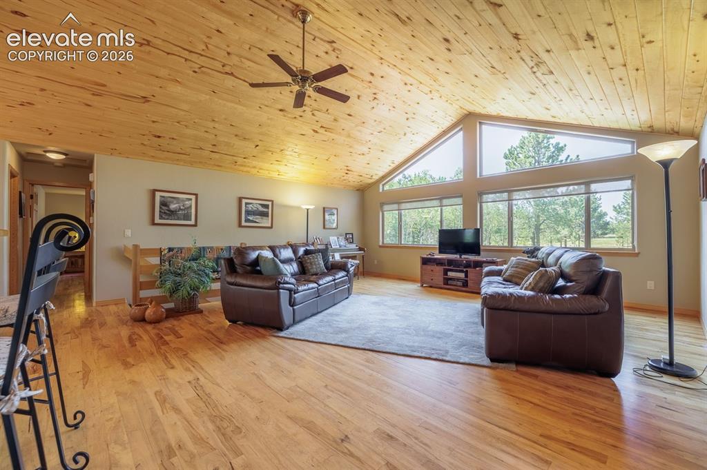 392 Aspen Village Road Divide CO 80814