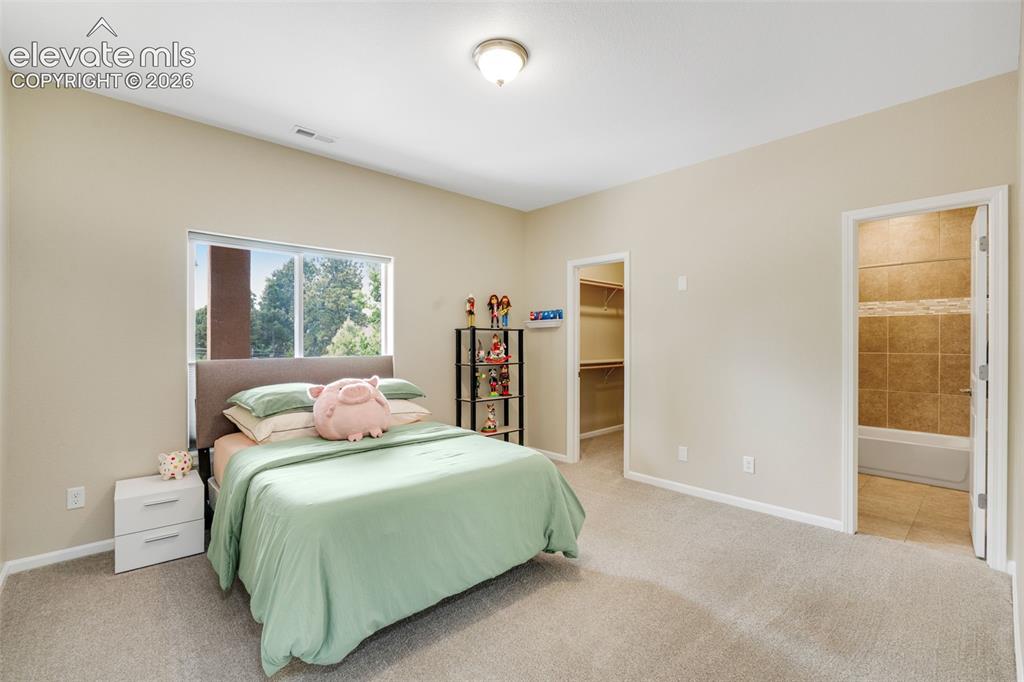20452 Kenneth Lainer Drive Monument CO 80132