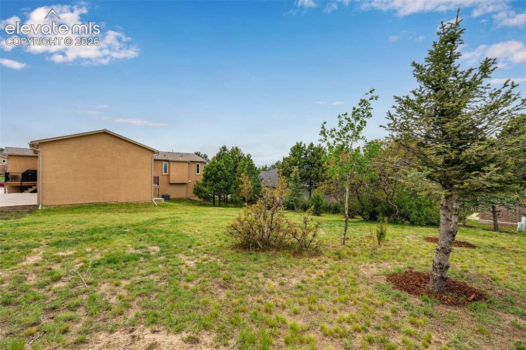 20452 Kenneth Lainer Drive Monument CO 80132