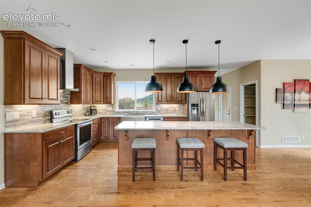 20452 Kenneth Lainer Drive Monument CO 80132
