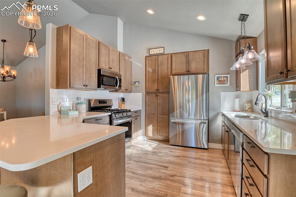 24 Big Horn Circle Florissant CO 80816