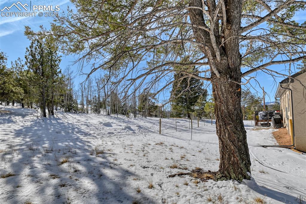 24 Big Horn Circle Florissant CO 80816