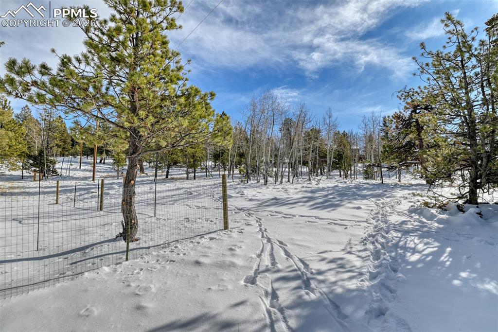 24 Big Horn Circle Florissant CO 80816